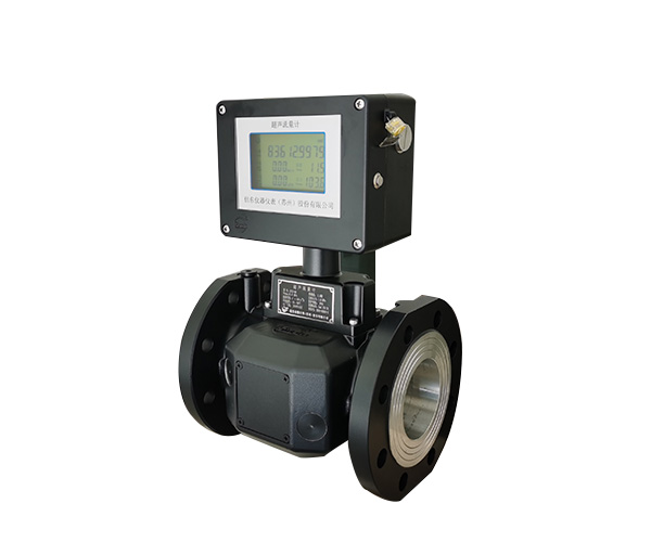 Ultrasonic flow meter